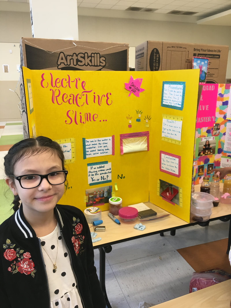 1st grade science fair projects